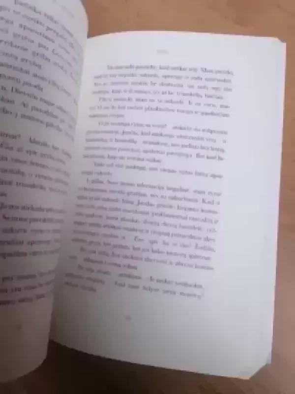 Pabučiuok man į šypseną - Raminta Stanaitytė-Česnulienė, knyga 4