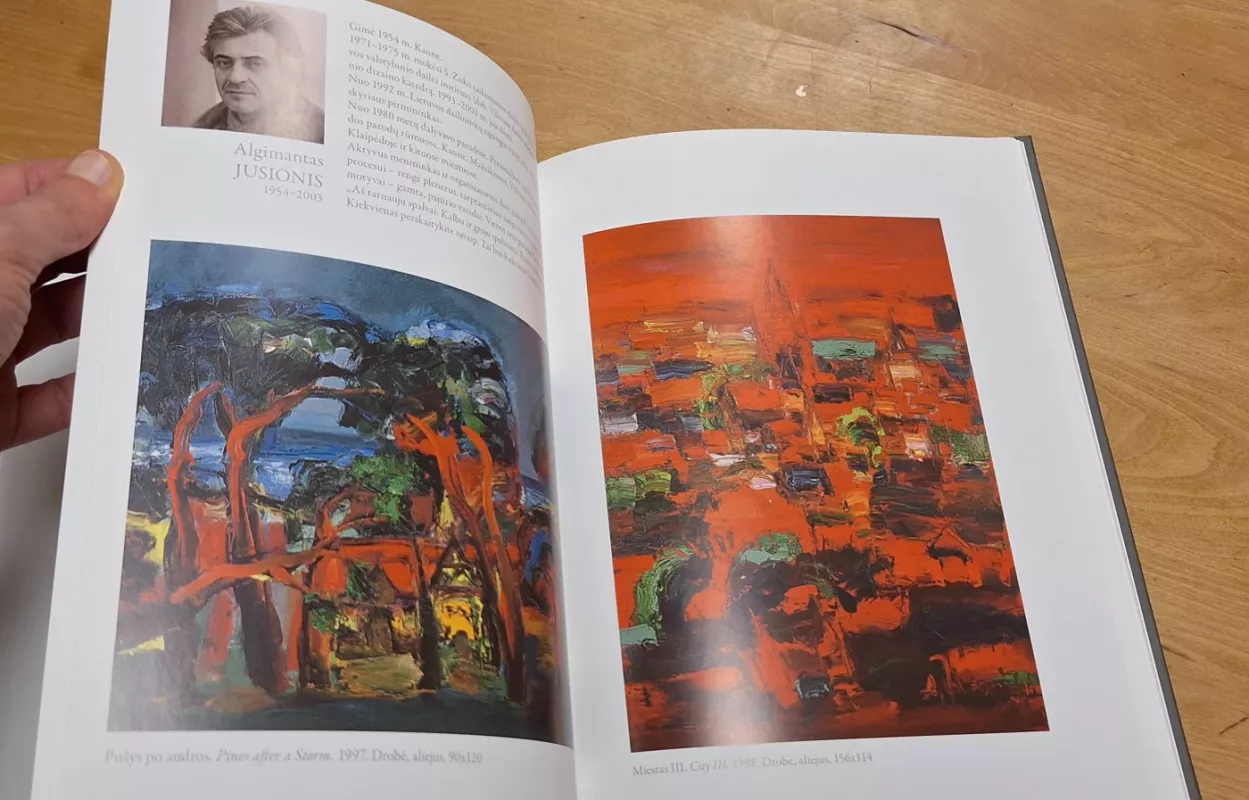 20 metų individualistams - Algimantas Stanislovas Kliauga, knyga 6