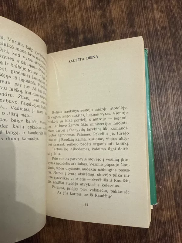 Saulėta diena - Vladas Audronaša-Suchockis, knyga 5