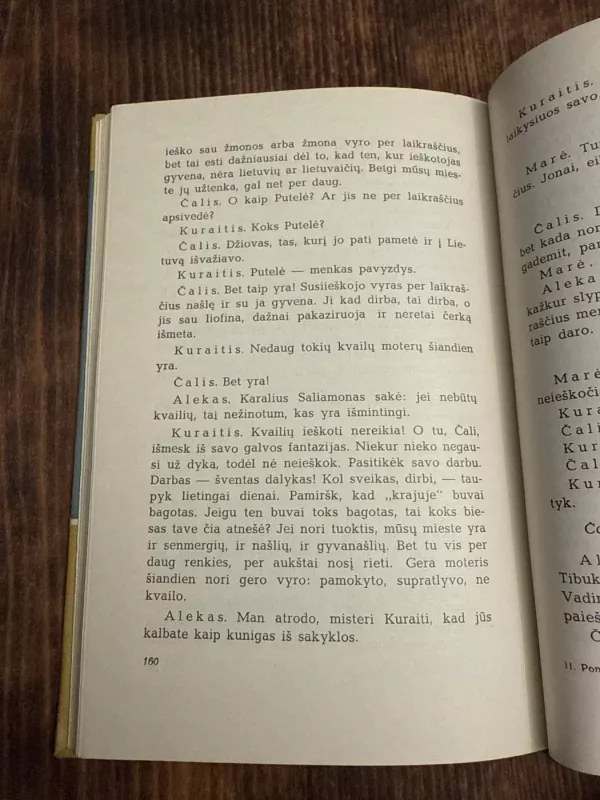 Ponas Amerikonas - Rojus Mizara, knyga 5