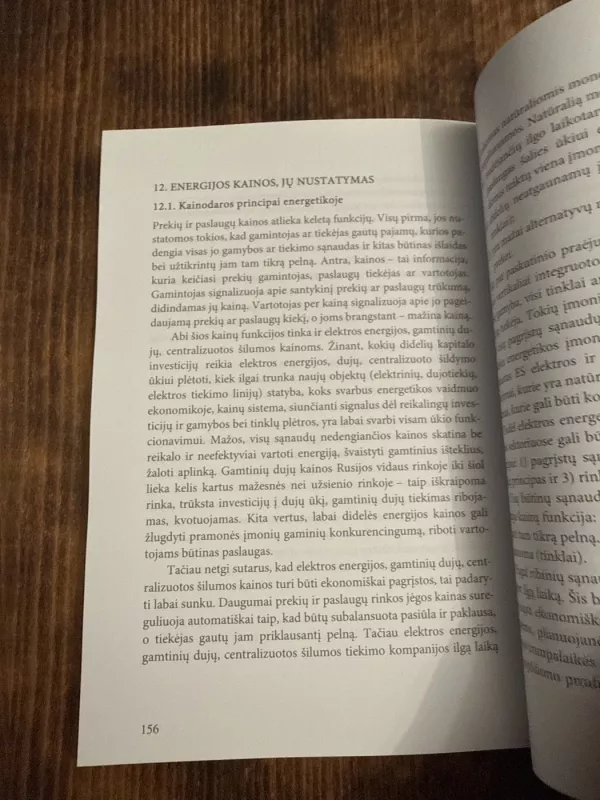 Energetikos ekonomika - Vidmantas Jankauskas, knyga 6