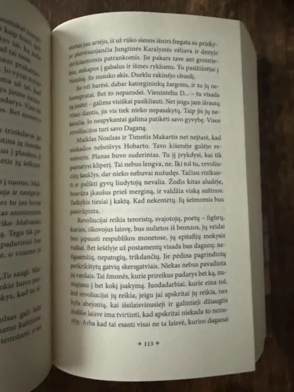 Atpirkimo krioklys - Joseph O'Connor, knyga 4