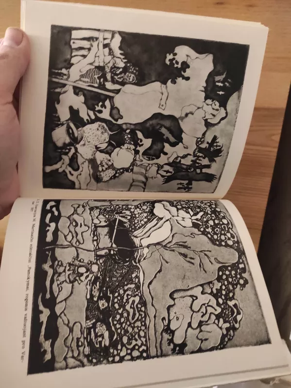 Grazina Didelyte - AUTORIAI ĮVAIRŪS, knyga 2