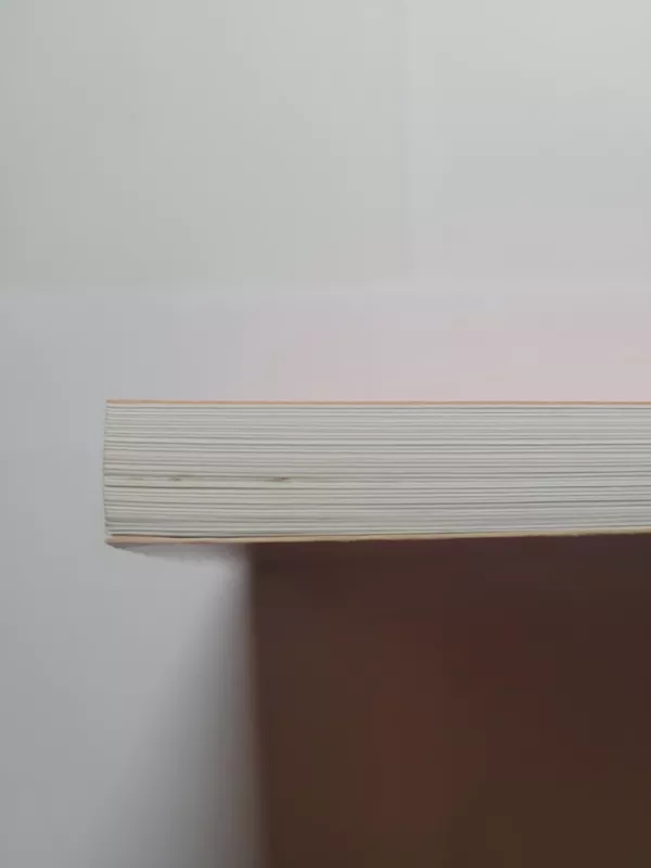 Dvasia ir tiesa - Omraam Mikhael Aivanhov, knyga 4