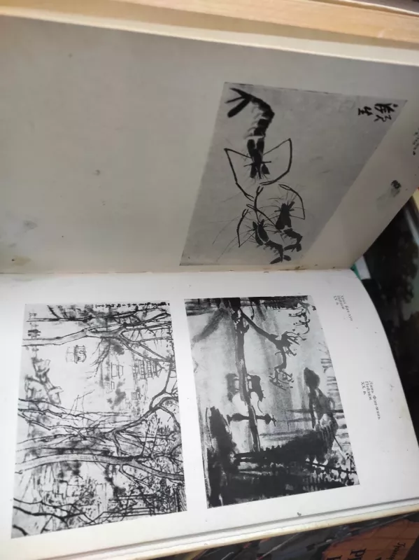 Esteticeskije problemi zivopisi drevnogo kitaja - E.V Zavadskaja , knyga 3