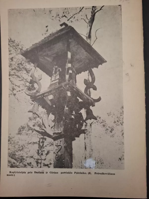 Aušra 1980/3 - Autorių Kolektyvas, knyga 2