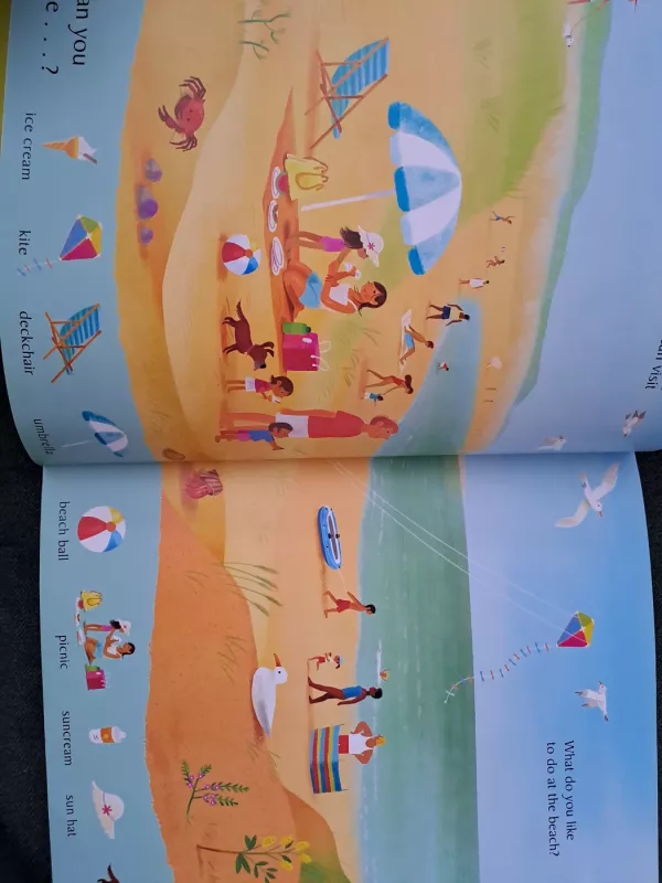 Look and Say What you see at the Seaside - Sebastien Braun, knyga 3