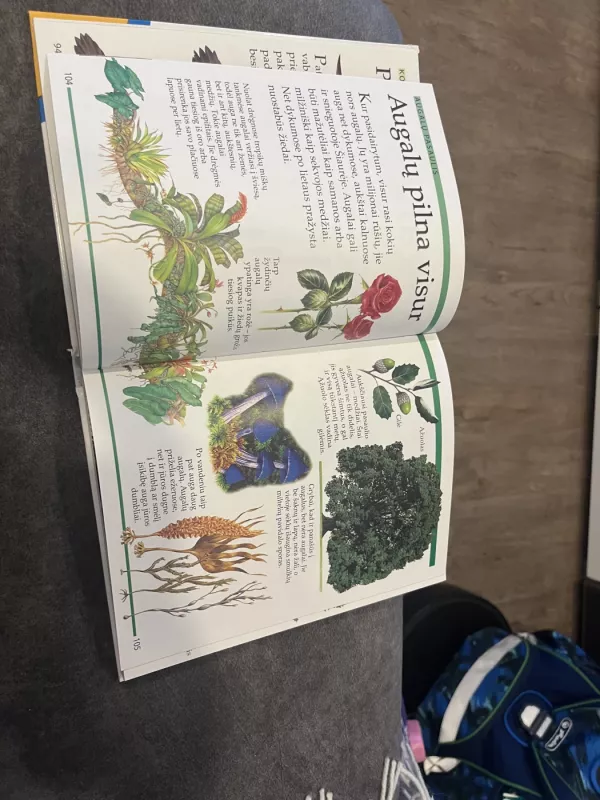 Pirmoji vaikų enciklopedija. Kur kada kas - Angela Wilkes, knyga 5