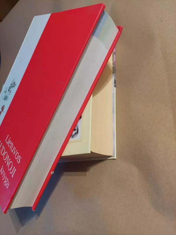 Lietuvos raudonoji knyga - Valerijus Rašomavičius, knyga 6