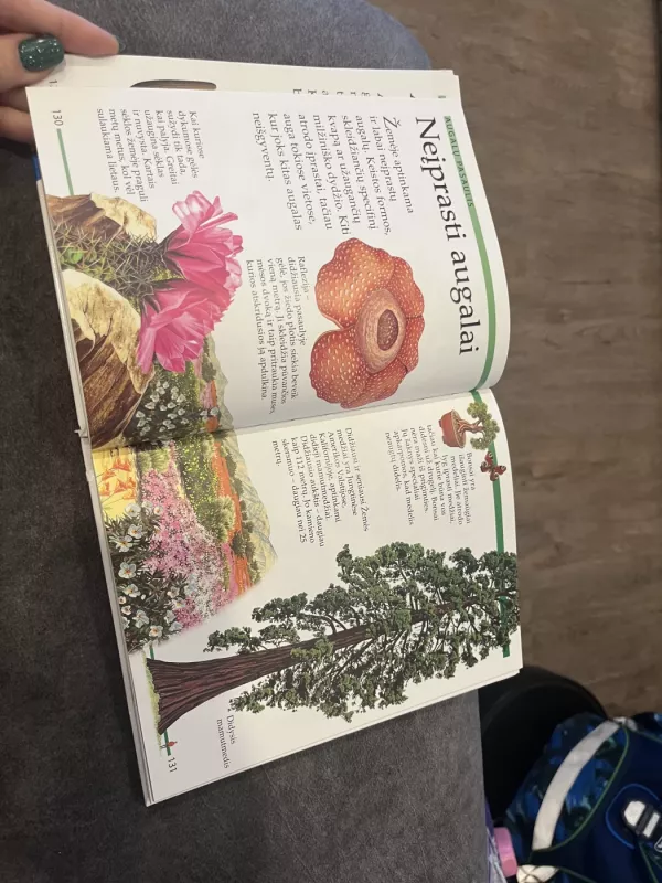 Pirmoji vaikų enciklopedija. Kur kada kas - Angela Wilkes, knyga 4