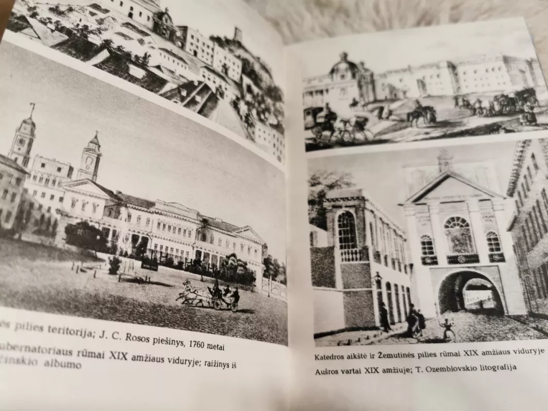 Vilnius Tarybų Lietuvos sostinė - Algirdas Vileikis, knyga 4