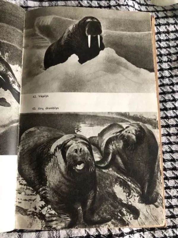 Pasaulio žvėrys (1968) - Tadas Ivanauskas, knyga 6