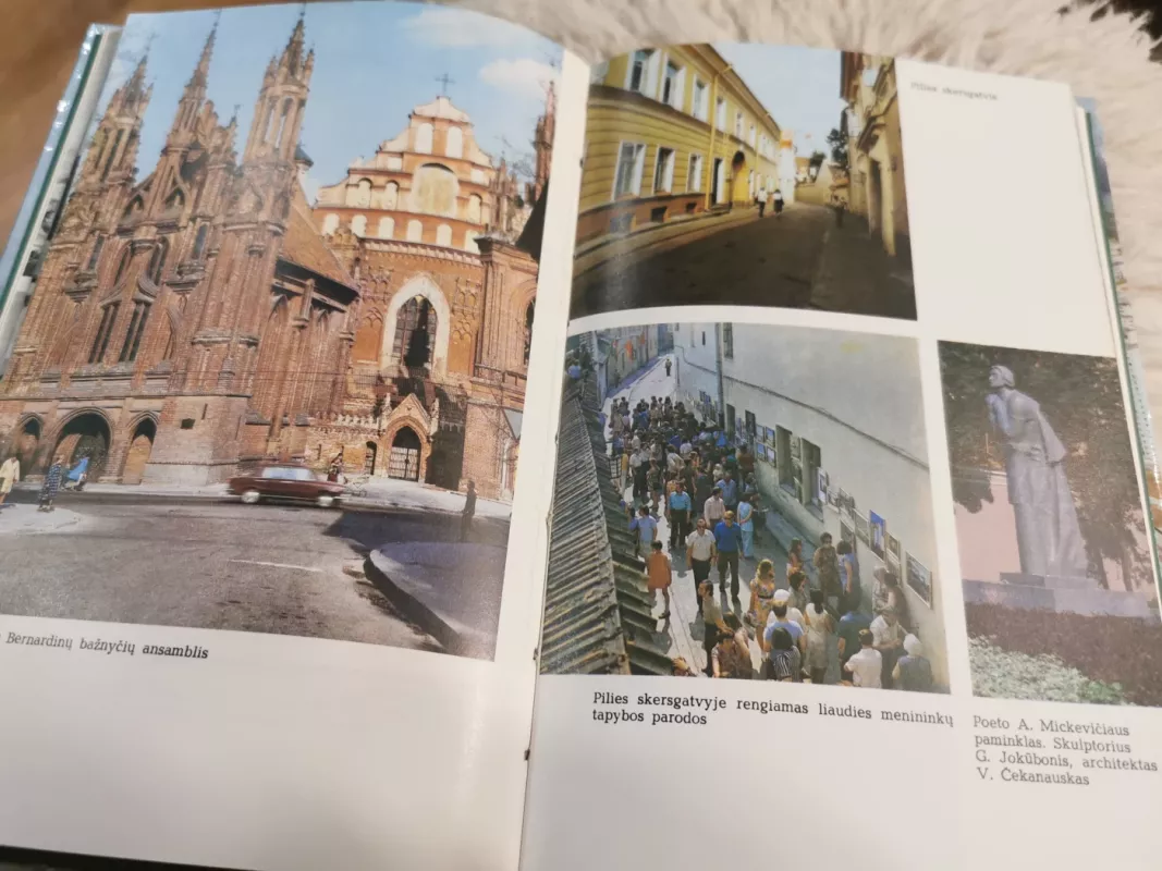 Vilnius Tarybų Lietuvos sostinė - Algirdas Vileikis, knyga 3