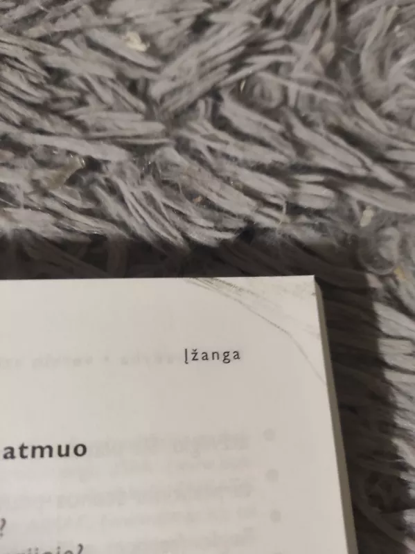 Meno vadyba verslo stiliumi - Giep Hagoort, knyga 4