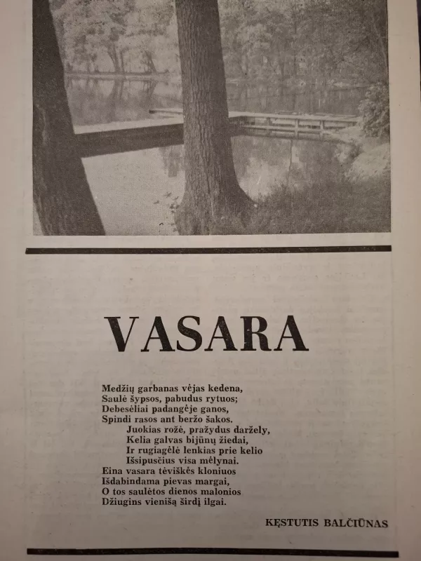 Aušra 1979/2 - Autorių kolektyvas, knyga 3