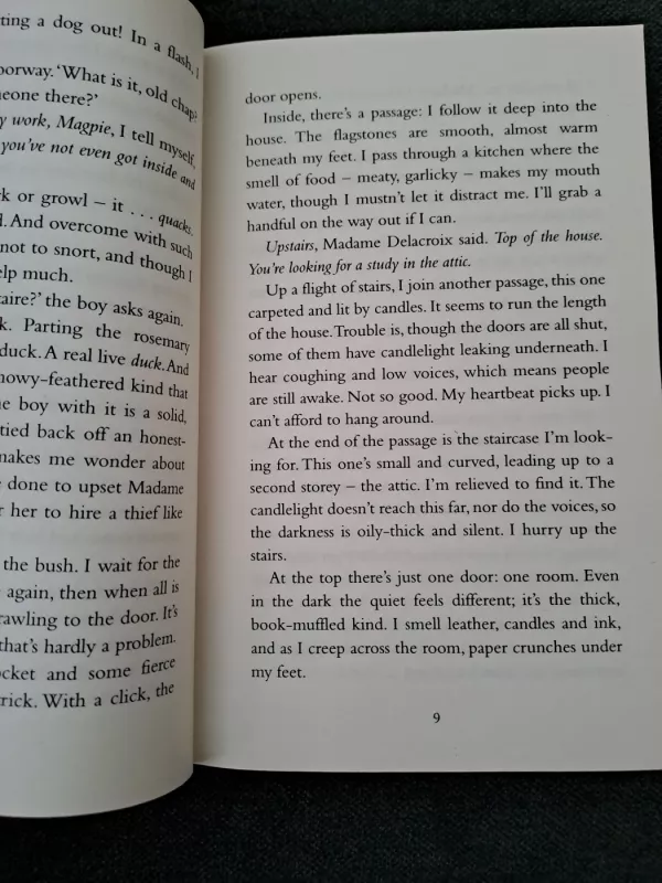 Sky chasers - Emma Carroll, knyga 4