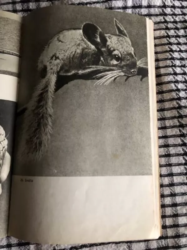 Pasaulio žvėrys (1968) - Tadas Ivanauskas, knyga 4