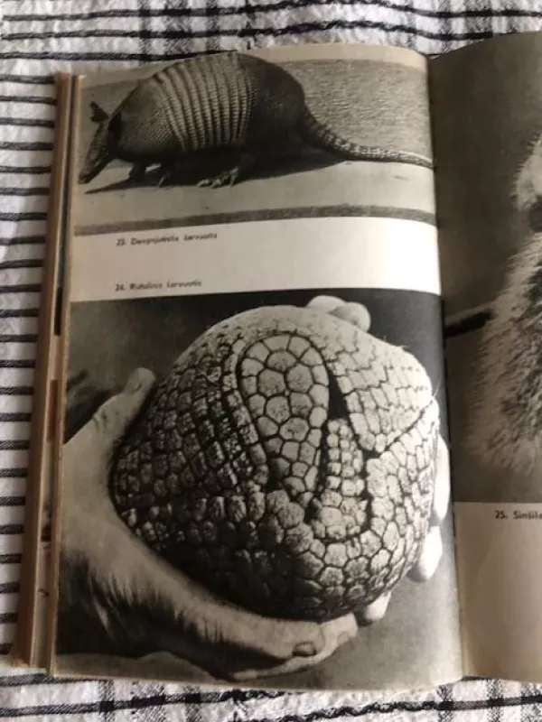 Pasaulio žvėrys (1968) - Tadas Ivanauskas, knyga 5