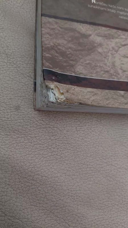 Kitoks Vilius Orvidas - Daina Parulskienė, knyga 3