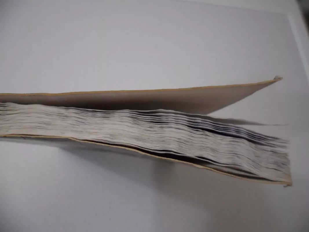 Kova už laisvę. Fragmentai iš Povilo Pečiulaičio knygos „Šitą paimkite gyvą“ - Povilas Pečiulaitis, knyga 5