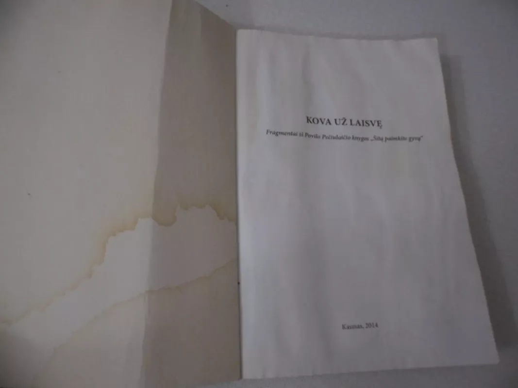 Kova už laisvę. Fragmentai iš Povilo Pečiulaičio knygos „Šitą paimkite gyvą“ - Povilas Pečiulaitis, knyga 3