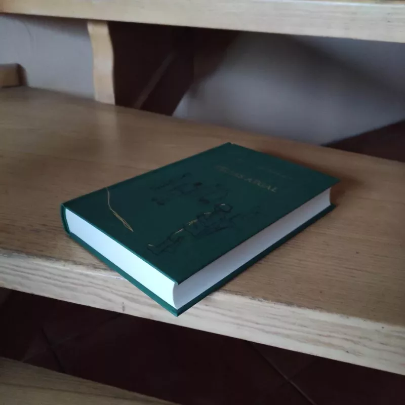 Kelias atgal - Erich Maria Remarque, knyga 6