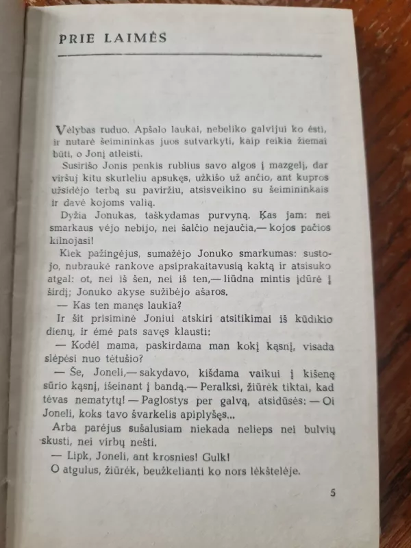 Stebuklingoji Tošelė - Pelėda Lazdynų, knyga 3