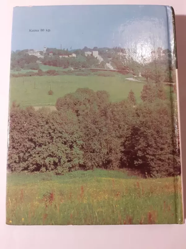 Žmonės prie vieškelio - Antanas Drilinga, knyga 3