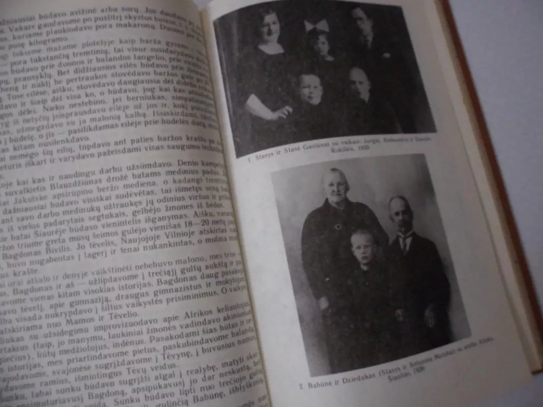 Ledinio pragaro ratai - Jurgis Gasiūnas, knyga 4