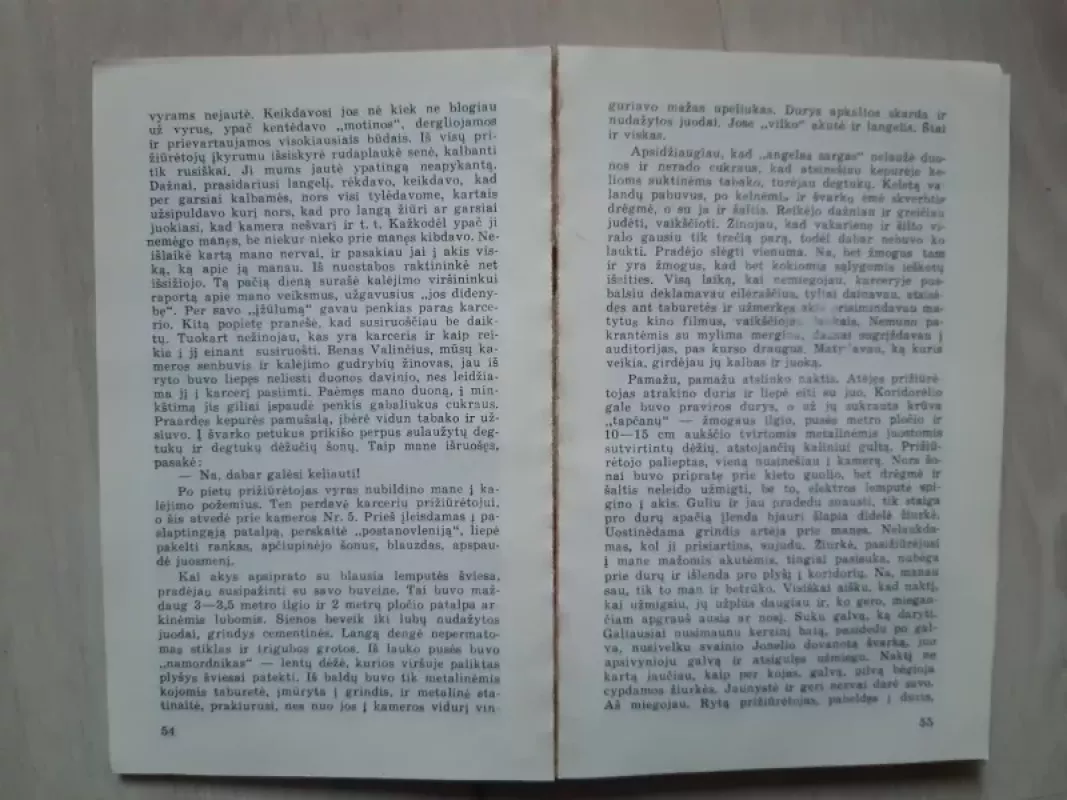 Kalinys Z-311 - Kęstutis Lakickas, knyga 3