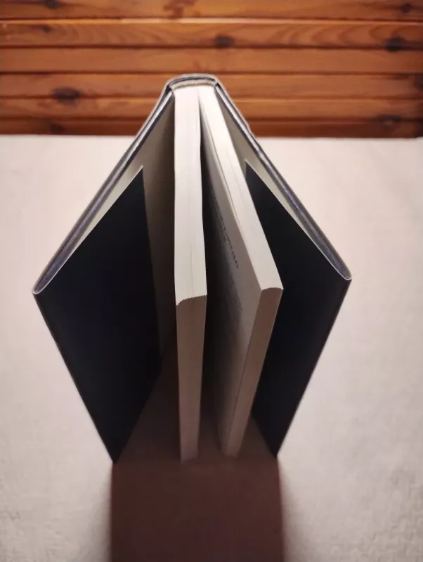 Lietuvos bankininkystės istorija 1918-1941 - Vladas Terleckas, knyga 3