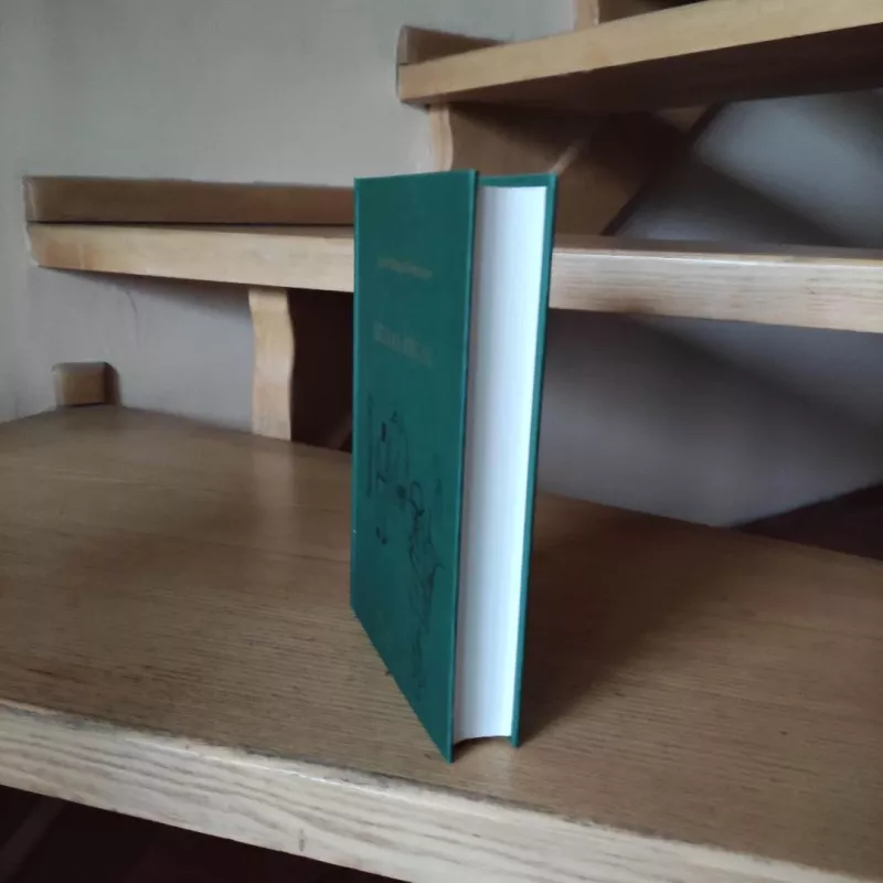 Kelias atgal - Erich Maria Remarque, knyga 5