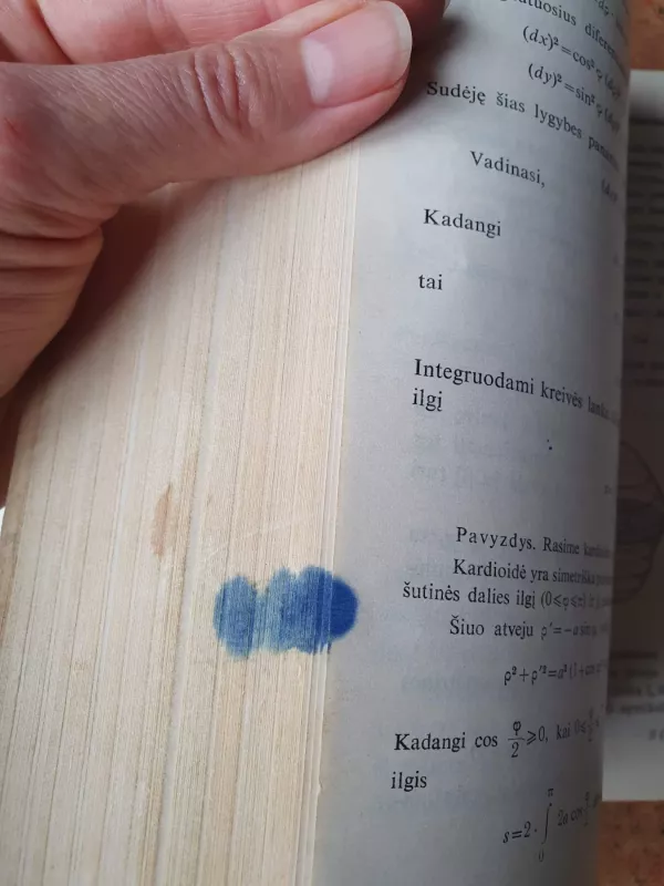 Trumpas aukštosios matematikos kursas - P. Rumšas, knyga 5