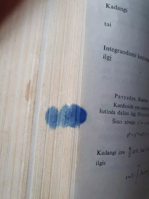 Trumpas aukštosios matematikos kursas - P. Rumšas, knyga 6