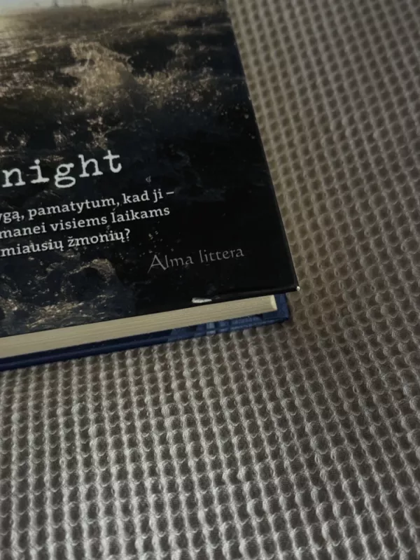 Visai svetimas žmogus - Renee Knight, knyga 3