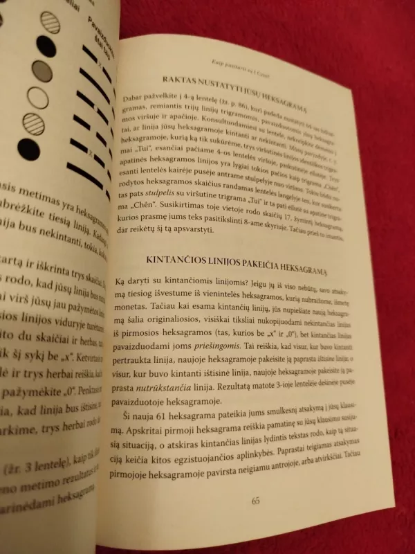 Permainų knygos paslaptys - Joseph Murphy, knyga 4