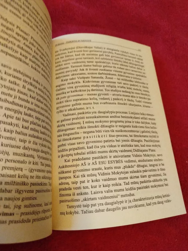 Rezonanso menas: savęs įvaldymas ir suderinamumas - Autorių Kolektyvas, knyga 4