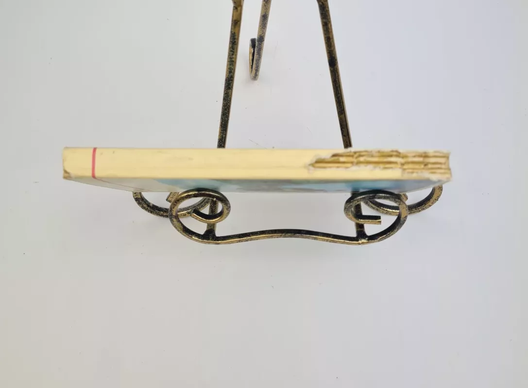 Po Vilniaus apylinkes - Eugenijus Danilevičius, knyga 3