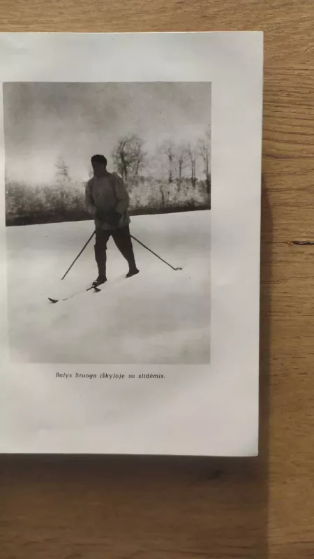 Balys Sruoga Raštai V t. Dievų miškas - Balys Sruoga , knyga 6