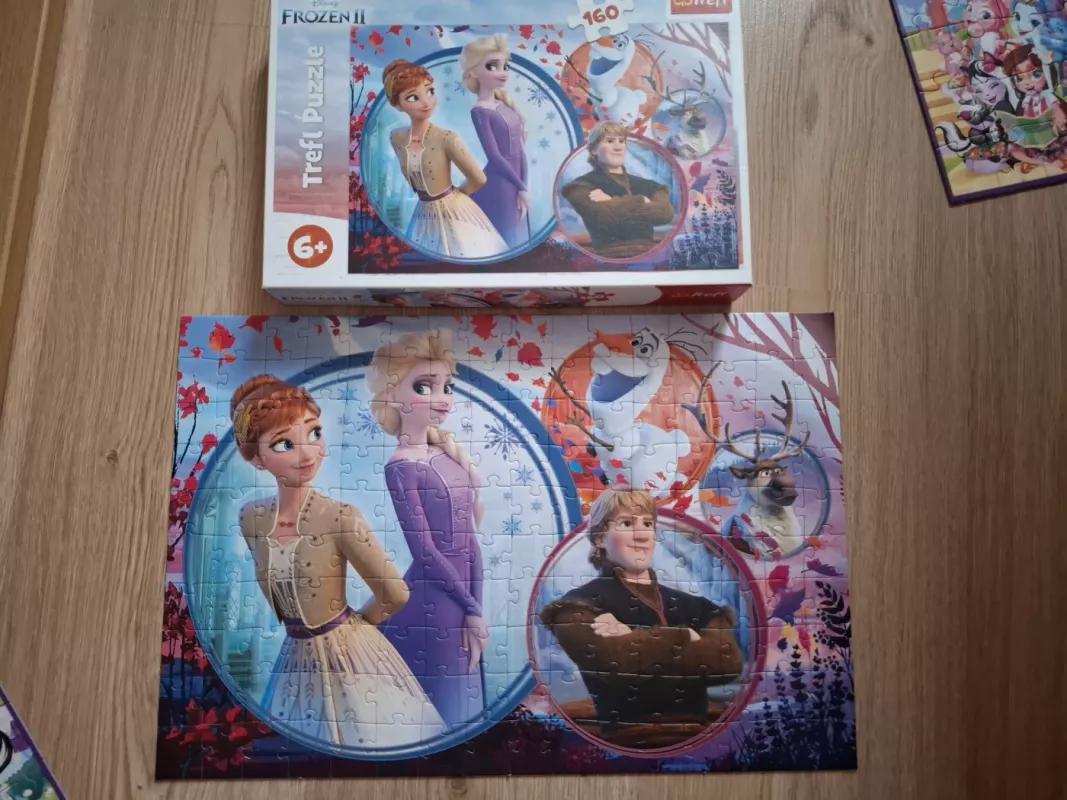 Frozen - , stalo žaidimas 4