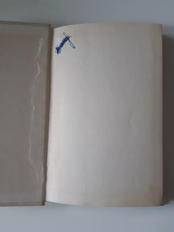 Ant ko laikosi pasaulis - Icchokas Meras, knyga 4