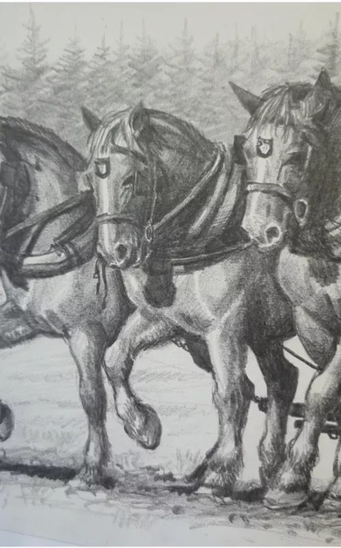 Printas - , namai ir interjeras 3