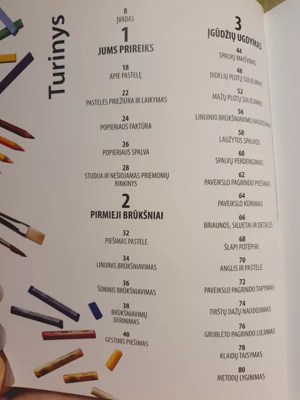 Pastelės mokykla - Hazel Harrison, knyga 4