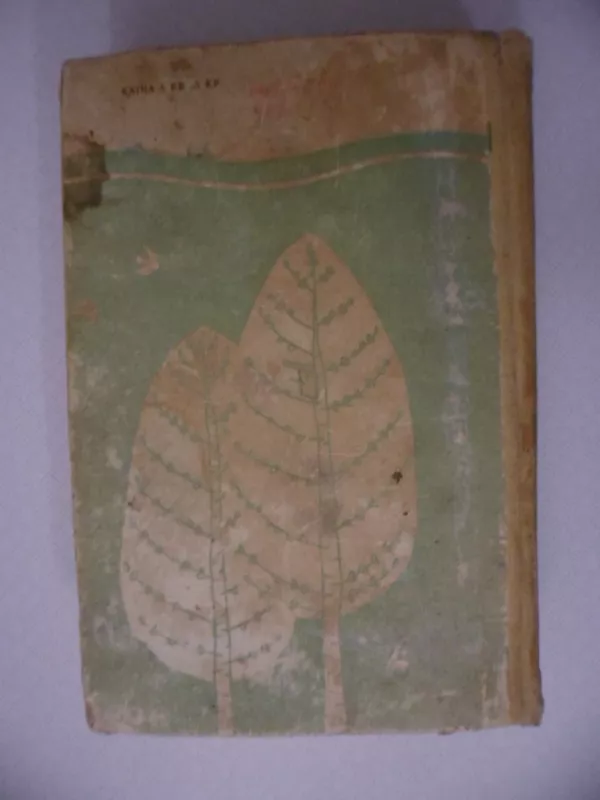 Baltoji knyga - Janis Jaunsudrabinis, knyga 3