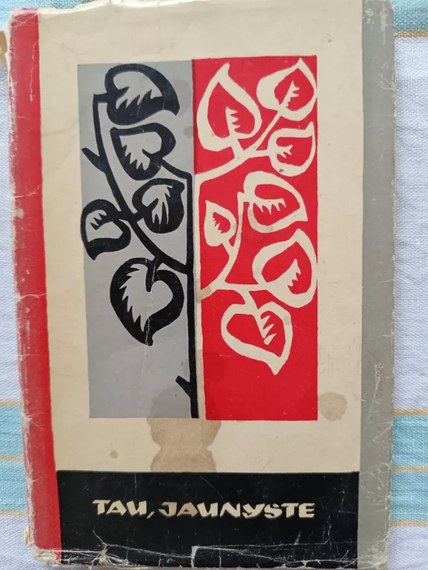 tau jaunysre - Kolektyvinė monografija, Autoriių kolektyvas, knyga 2