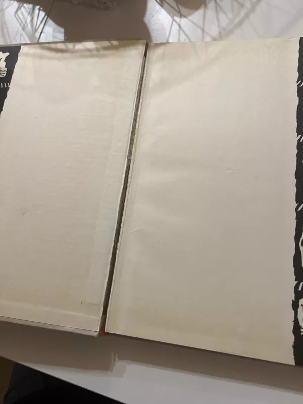 Palangos Juzė - Motiejus Valančius, knyga 4