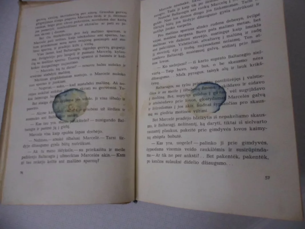 Baltaragio malūnas arba kas dėjosi anuo metu Paudruvės krašte - Kazys Boruta, knyga 5