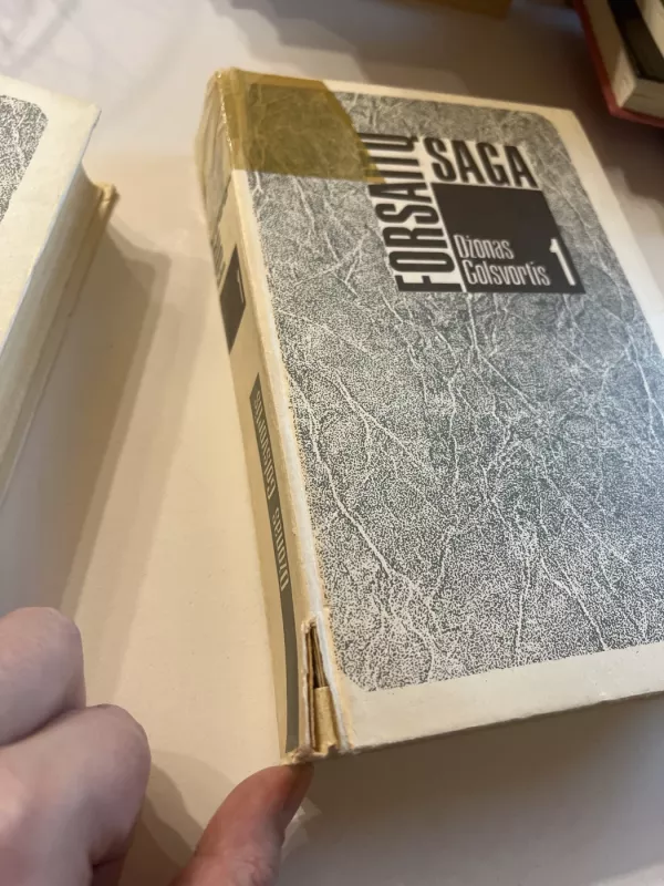 Forsaitų saga (2 tomai) - Džonas Golsvortis, knyga 3