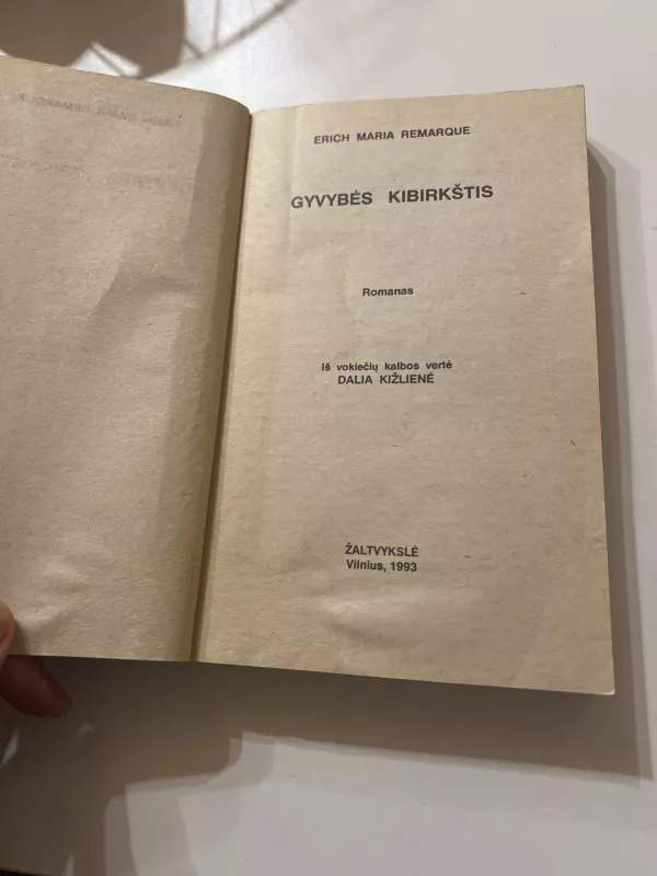 Gyvybės kibirkštis - Erichas Marija Remarkas, knyga 2