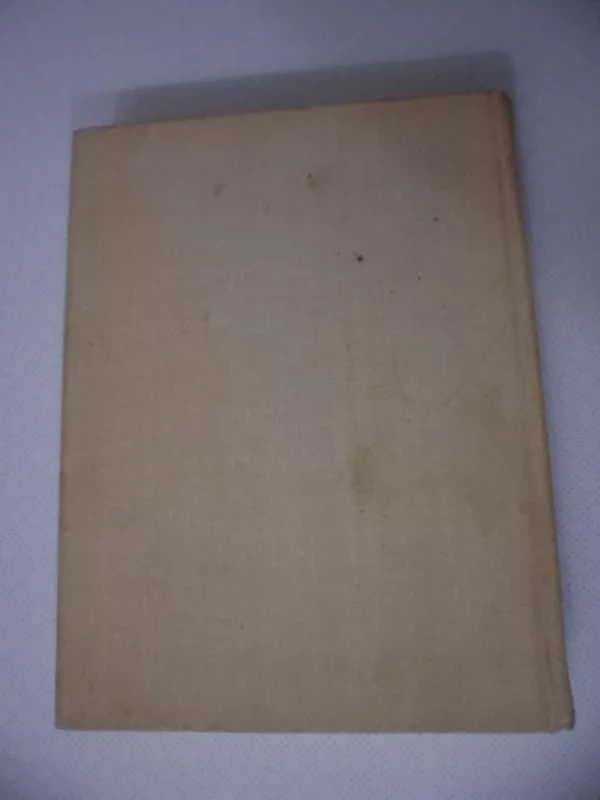 Meisteris ir sūnūs - Petras Cvirka, knyga 5